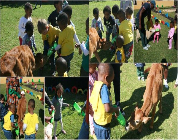 AbacusKidz Educational Shows-15